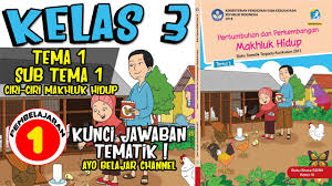 Tematik Kelas 3 Tema 1 Pertumbuhan Dan Perkembangan Sub Tema 1 Pembelajaran 2 Kunci Jawaban Youtube