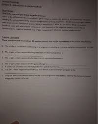 Anatomy And Physiology Chapter 5 Test Anatomy Drawing Diagram