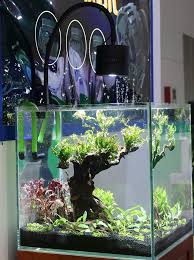 Lominie Led Aquarium Light Freshwater Planted Tank Light Asta 120 Clamp Clip Lamp For Refugium Algae Fish Tank 24inch With Gooseneck