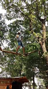 Parc aventure ®, c'est l'aventure avec un grand a. Gecko Parc Parc De AventurÄ Kid Friendly In Cluj Gokid