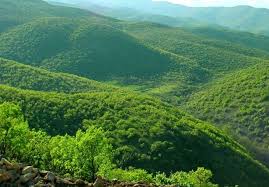 نتیجه جستجوی لغت [reserve] در گوگل