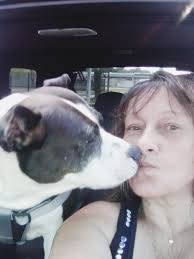 Any dog rescue companies you can recommend, not ruff house. TIA