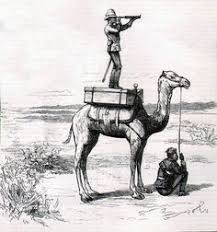 They have extremely powerful pinchers, but are not equipped with fangs, like most spiders. Camel Corps