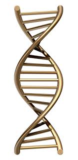 Dna Chain 3d Model Dna 3d 3d Model Model