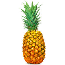 Ananas Pain De Sucre Cayenne Lescure La Garde