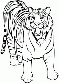 Plus, it's an easy way to celebrate each season or special holidays. Tiger Google Search Zoo Animal Coloring Pages Animal Coloring Pages Tiger Drawing For Kids