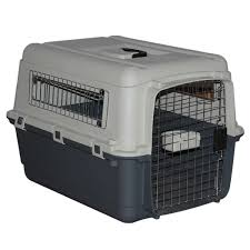 Pet grooming & boarding kennels (46) pet grooming & boarding kennels (44) pet grooming & boarding kennels (29) animal hospitals & veterinary clinics (14) veterinarians (vets) & veterinary clinics kennels near me. Direct 22 Airline Approved Plastic Dog Cat Pet Kennel Carrier Or Air Travel With Chrome Door And Free Cup Foldable Dog Travel Buy 22 Airline Approved Plastic Dog Cat Pet Kennel Carrier Air Travel