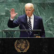 Image result for Bidens ugandensis