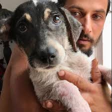 AI rendering of Dominican room mates