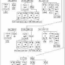 Flow Chart Of The Soil Classification Program Download