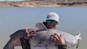 Elephant Butte Blue Catfish In 2021 Blue Catfish Catfish Elephant