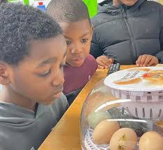 Beth Brickhouse's Instagram, Twitter & Facebook