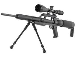 Luckily, today i have provided the top picks on the market. Why Own An Air Rifle Air Rifle Types Calibres Customizability