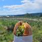 Friendly Nettle event in Chimacum, WA