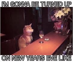 New Years Eve New Years Eve Meme New Years Eve Funny Couple Pictures