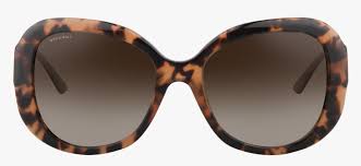 Download Gucci Goggles Sunglasses Fashion Png Image High Quality Dolce And Gabbana Sunglasses Leopard Print Transparent Png Kindpng