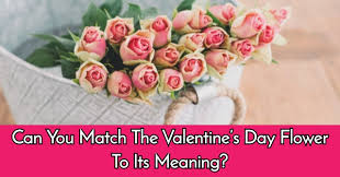 Check spelling or type a new query. Can You Match The Valentine S Day Flower To Its Meaning Quizpug