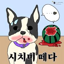 진짜 한국어는 다르다] "시치미 떼다" 알면서도 모르는 척하거나 하고도 안 한 척한다는 의미예요. This expression  means to play dumb or to have done an act only to later deny having done  said