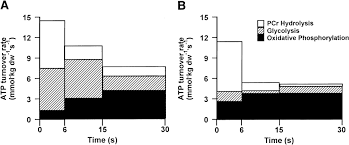 Before switching to a ketogenic diet, the cyclists lasted, on average, just under 150 minutes at that pace. Energy Systems Part 3 Anaerobic Lactic Glycolytic The Sustainable Training Method