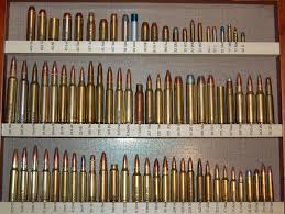 20 Disclosed Ammunition Caliber Chart