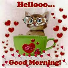 Hellooo Good Morning Cute Good Morning Cute Good Morning Quotes Good Morning Quotes