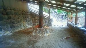 Manage your video collection and share your thoughts. ç ‚ã‚€ã—æ¸©æ³‰ æµ·ä¸­æ¸©æ³‰ æ‚ªçŸ³å³¶ ã‚ãã›ãã˜ã¾ ã®å¤©ç„¶ã®ã‚¹ãƒ¼ãƒ'ãƒ¼éŠ­æ¹¯ æ¹¯ã‚ãã‚Šå³¶æ—… By Tanoshimasan Potaru ã½ãŸã‚‹