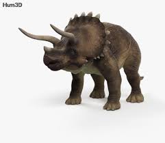 Triceratops 3d Model From Hum3d Com 3d Model Model Elephant