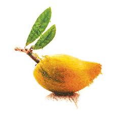 Also, canopy counts for protection. 10 Florida Fruits You Might Not Know Edible Orlando