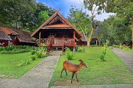 The mutiara taman negara resort has a superb rainforest setting overlooking the tembeling and tahan rivers. Official Site Mutiara Taman Negara Resort Pahang