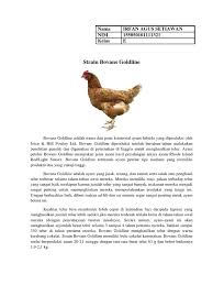 Check spelling or type a new query. Bovans Goldline