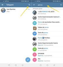 Telegrama no es una copia del famoso whatsapp, sirve para otra muy distinta, pero bastante útil. Como Buscar Grupos Y Canales En Telegram