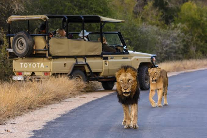 Best time to go on an African safari - month by month guide