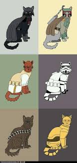 Star Cats Star Wars Characters Star Wars Art Star Wars