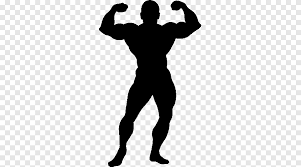 female bodybuilding fitness centre physical fitness strength training bodybuilding hand human png pngegg pngegg