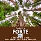 Family Forte  — Retreat House event image