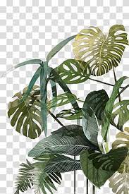 Botanical Illustration Drawing Watercolor Painting Tropics Illustration Palm Leaf Green Leafed P Leaf Illustration Tropical Illustration Architecture Collage