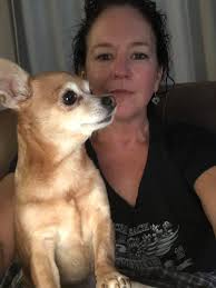 Chiweenie with longer body type