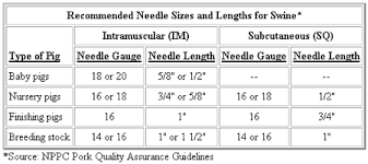 29 high quality injection needle sizes chart