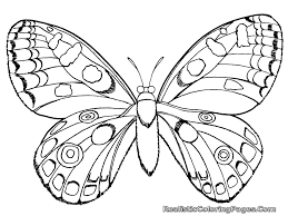 This article features the realistic and cartoon form of different types of insects. Printable Bug Coloring Pages For Kids Cool2bkids Coloring Pages
