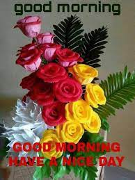 120+ lovely good morning wishes and greetings for sister. Sign In Good Morning Good Morning Flowers Good Morning Kiss Images