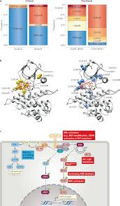 Image result for ROS1 Inhibitor