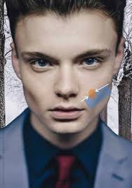 Prominent cheekbones are cheekbones that are sitting high on the face, usually near the eye sockets, projecting outwards. Low Cheekbones Vs High Cheekbones Ultimate Guide And How To Tell If You Have Community Pharmacies
