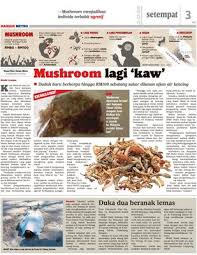 Silahkan konsultasikan semua permasalahan seksualitas dan rumah tangga anda. Mushroom Lagi Kaw Klik