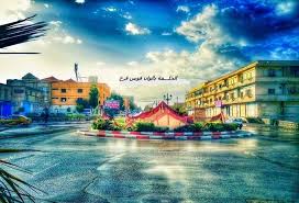 بريشة المطر تظهر الصورة أحلى نسخة من الجلفة مخبأة تحت المطر capital city mansions nature