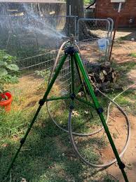 Pin On Beginning Garden 2020