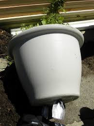 Inside Urban Green International Sip Rain Gutter System