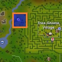 There are 7 fruit tree allotments. 1 99 Osrs Farming Training Guide 2021 Ez Rs Gold