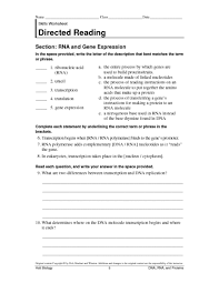 The model of dna is known as a _ because it is composed of two. Rna And Gene Expression Worksheet For 9th 10th Grade Lesson Planet