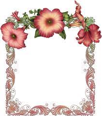 Red Transparent Frame With Red Flowers Quadros Imprimiveis Imagens Vintage Plaquinhas Para Foto