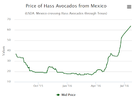 Souring Relations With Mexico Is Bearish For Your Avocado
